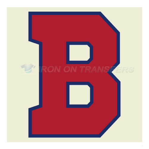 Buffalo Bisons Iron-on Stickers (Heat Transfers)NO.7943